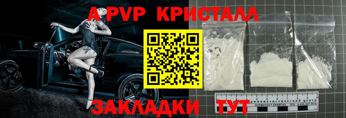 A PVP СК КРИС Тавда