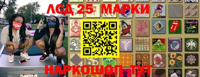 эйфоретик Малгобек