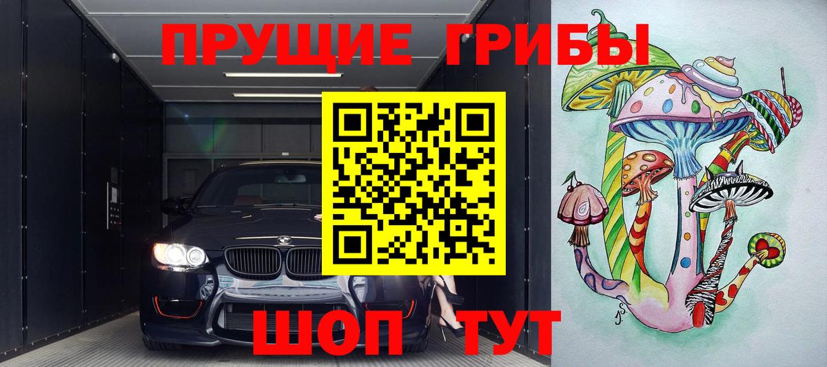 Псилоцибиновые грибы прущие грибы Тавда